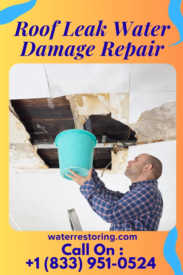 Roof Leak Water Damage Repair in Westwood Lakes, FL